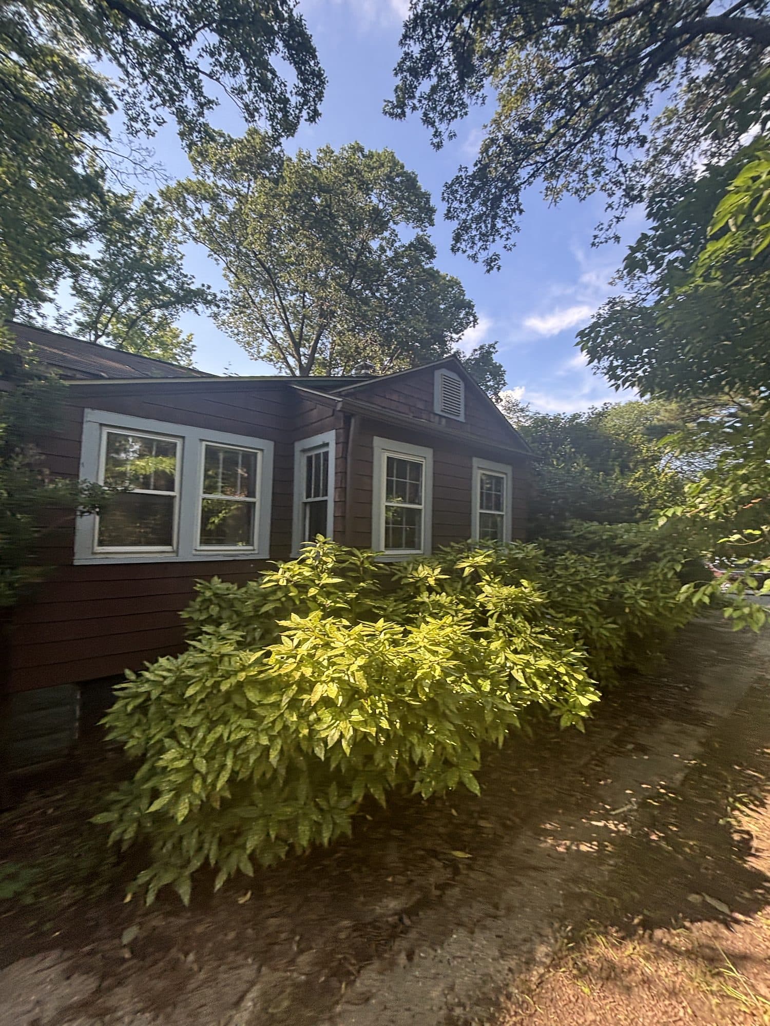 Brown shingled cottage side view with shrubs. Home addition project by Potts Brothers Construction, Arlington & Northern Virginia