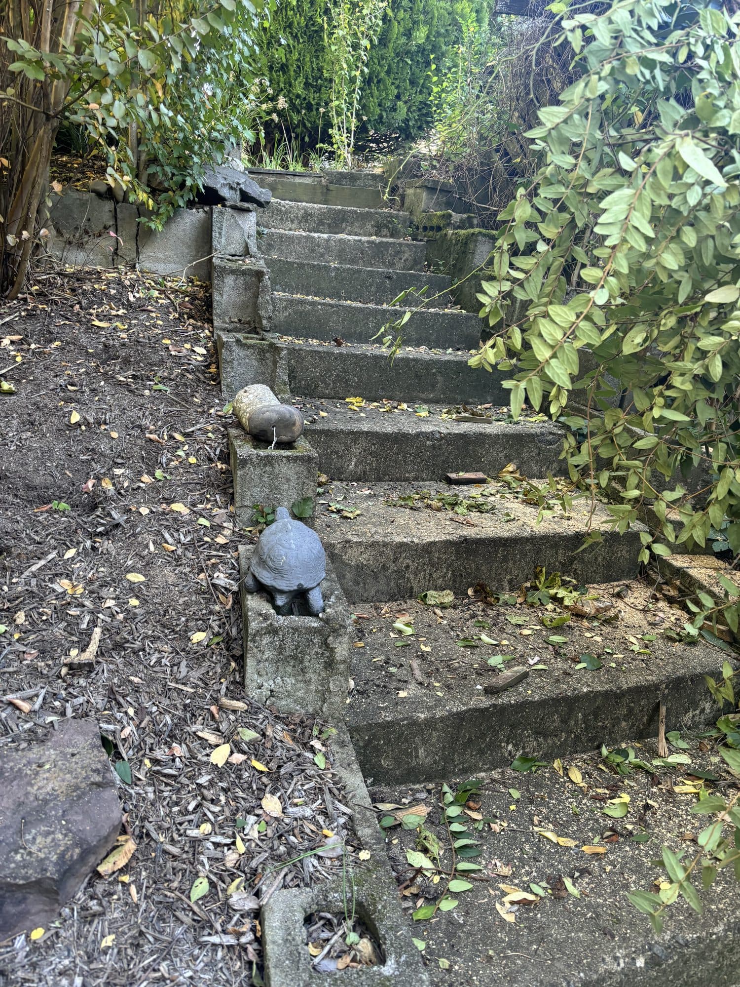Concrete garden steps landscaped slope. Concrete project by Potts Brothers Construction, Arlington & Northern Virginia